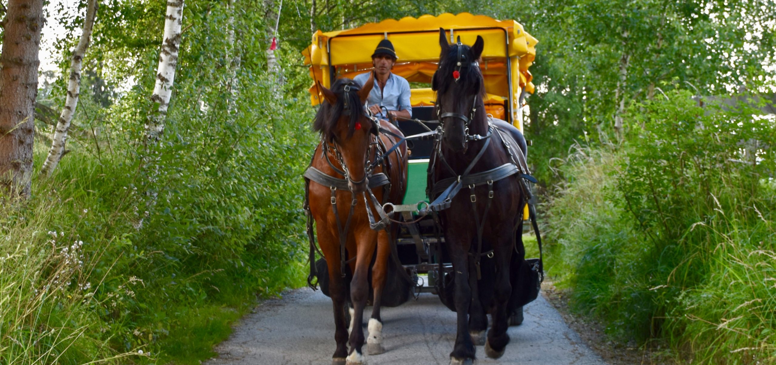 Start Fiaker Seefeld Kastrati Kutschenfahrt 6100 Seefeld Tel